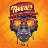 Artwork for "Macaco"