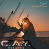 Artwork for "Midnight Vibes"