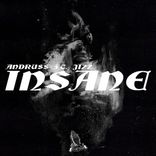 Portada para "Insane"