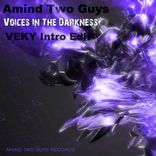 Voices In The Darkness