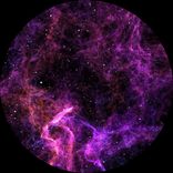 Portada para "Speed"