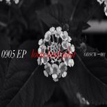 Artwork for "0905 EP"