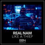 Artwork for "Like A Thief"