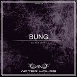 Artwork für "Bung"