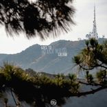 Artwork for "Goes To HollyWood"