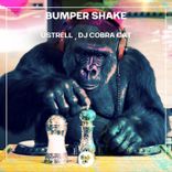 Artwork for "Bumper Shake"