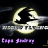 Portada para "Night Flying"