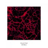 Artwork for "Cytoplasmic"