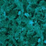 Artwork voor "Habeas"