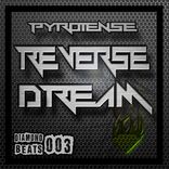 Artwork voor "Reverse Dream"