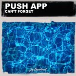 Artwork for "Can't Forget (Nu Ground Foundation Mixes)"