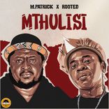 Portada para "Mthulisi"