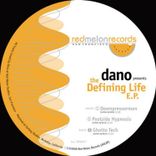 Artwork voor "The Defining Life"