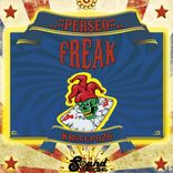 Artwork voor "Freak"
