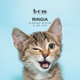 Artwork for "RINGIA"