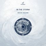 Artwork for "In The Storm"