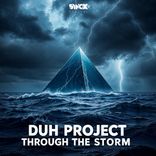 Artwork for "Trough The Storm"