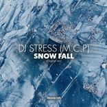 Portada para "Snow Fall"