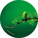 Artwork for "Moonlight Riddims"