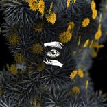 Artwork for "Universe"