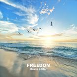 Artwork for "Freedom"