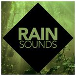 Portada para "Rain Sounds"