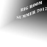 Artwork für "Big Room Summer 2017"
