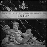 Artwork für "Big Flex"