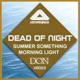 Artwork for "Summer Something"