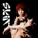 Portada para "Skin Like Rose"