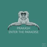 Artwork for "Enter the Paradise"