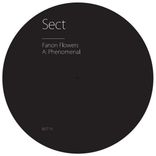 Artwork for "Phenomenal"