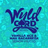 Portada para "Señor Piloto"