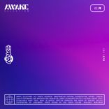 Artwork voor "AWK Selection, Vol. 78"