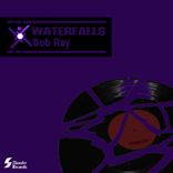 Portada para "Waterfalls"