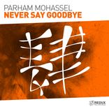 Never Say Goodbye