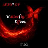 Artwork for "Butterfly Effect"