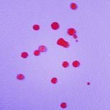 Artwork voor "Alyssa's 1st Birthday"