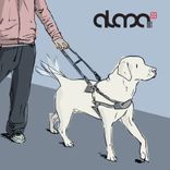 Portada para "The Preacher"