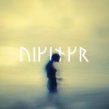 Portada para "Viking"