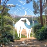 Artwork voor "Mahsii"