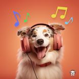 Artwork voor "Soft Paws"