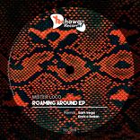 Artwork for "Roaming Around EP"