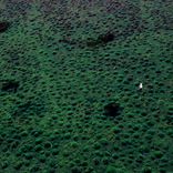 Artwork for "Mirrors"