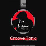 Artwork voor "Groove Tonic"