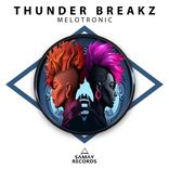 Artwork voor "Melotronic"