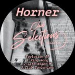 Artwork für "Evolution"