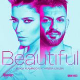 Portada para "Beautiful"
