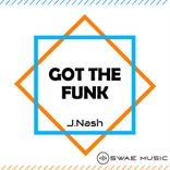 Artwork for "Got the Funk"