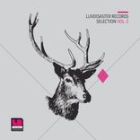 Artwork für "Luvdisaster Records Selection Vol. 2"